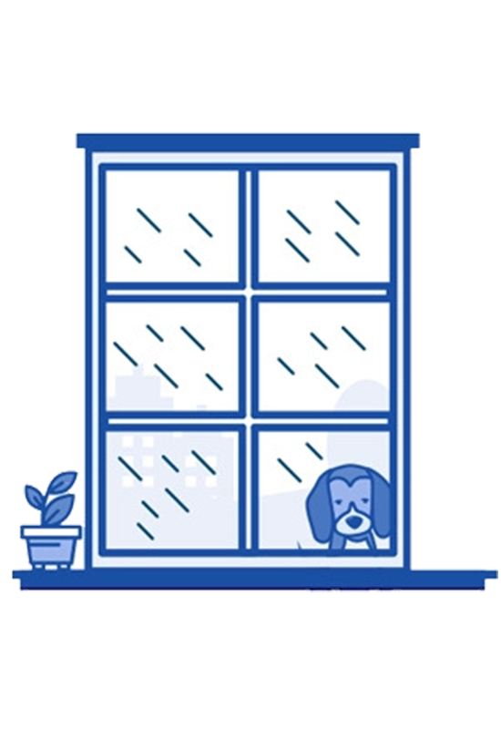 Contact The Blox Team