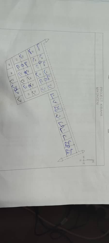 KIBAHA MIKONGENI